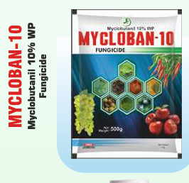 MYCLORAN 10